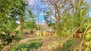 bottom of garden- click for photo gallery